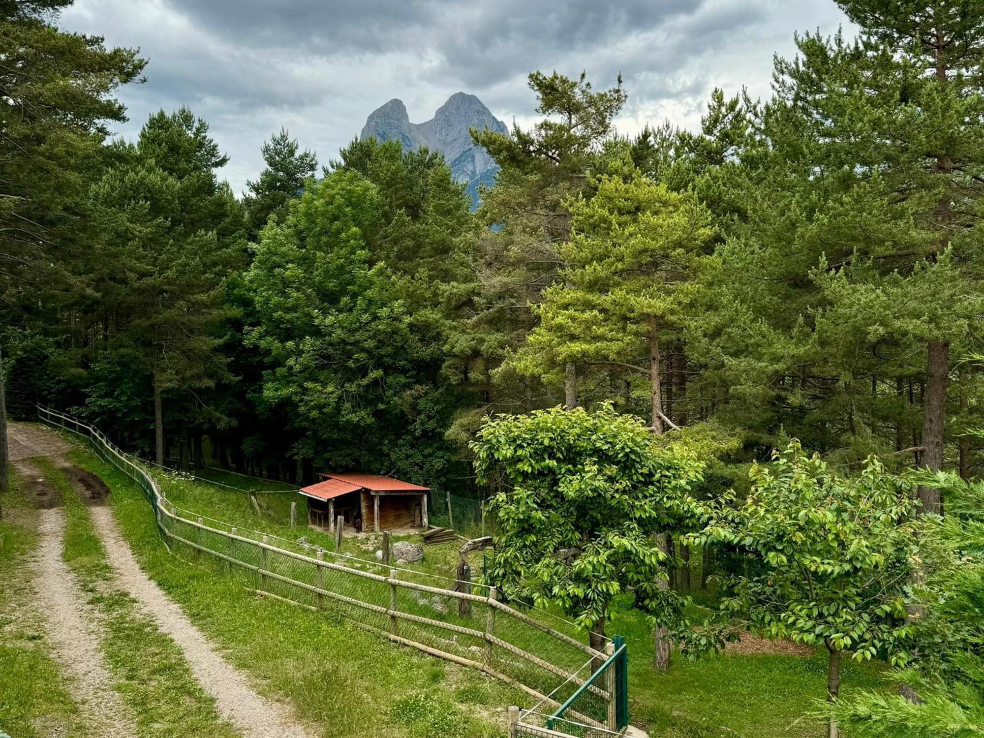 Cal Roig - Pedraforca Villa Saldes Exterior photo